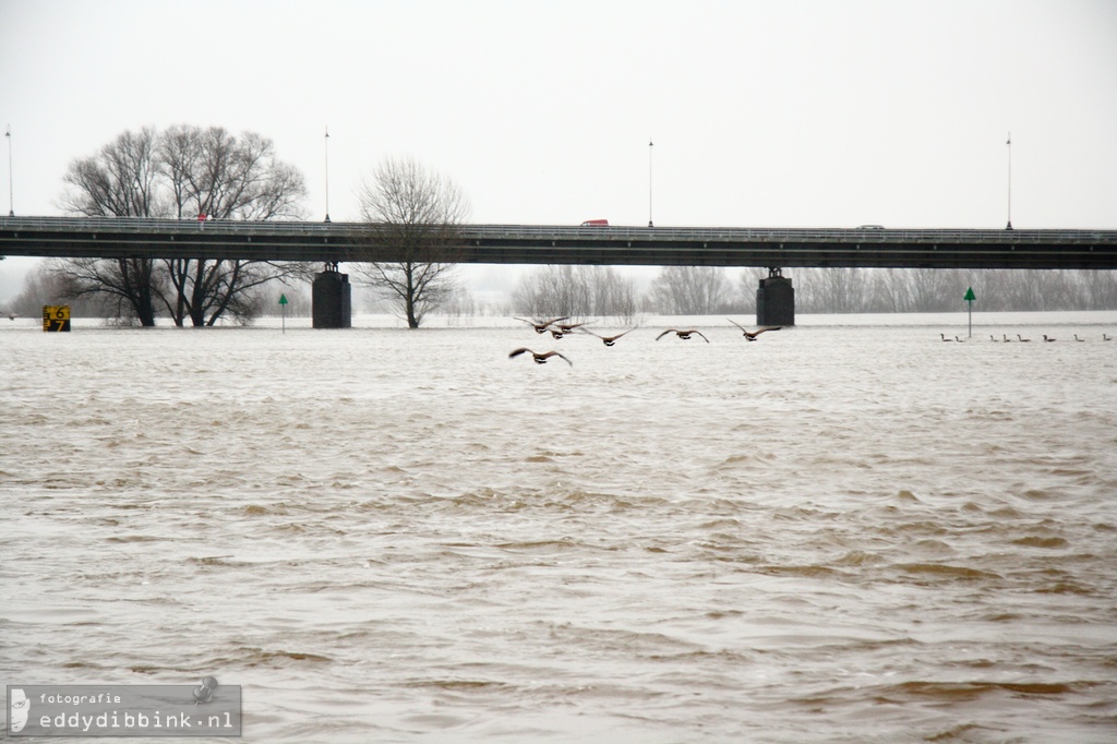 2011-01-14 Hoog water, Deventer 005 (1)